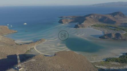 鸟瞰图中流入大海的宽阔河口[免费商用]