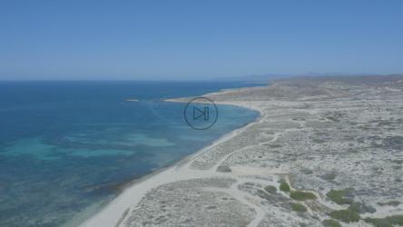 缓慢飞越阳光明媚的海岸线和海滩[免费商用]