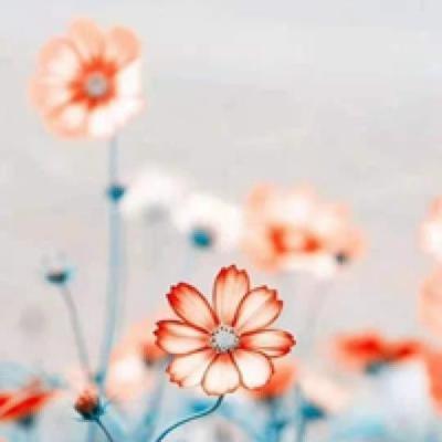 【经典】2023年的祝福语简短（2023年最好经典祝福语）