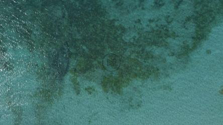 从高处俯瞰晶莹剔透的翡翠水[免费商用]