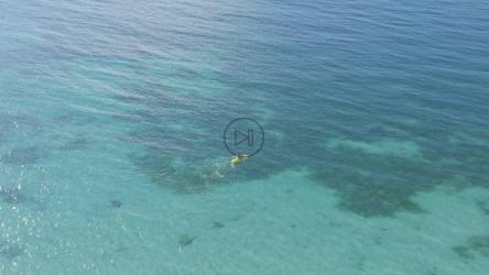 两个人在天堂海滩附近戏水[免费商用]