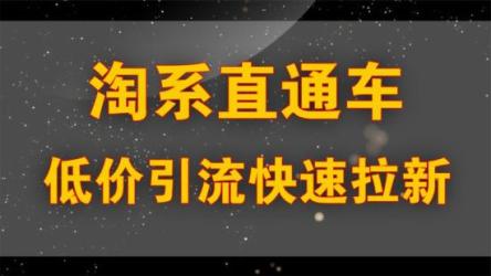 2023淘系·无界引流实战班：小成本大流量