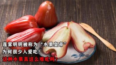 莲雾明明被称为“水果皇帝”，为何很少人爱吃？它真这么难吃吗？