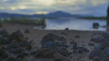 平静的湖边，有沙子、草地和岩石[4K免费商用]