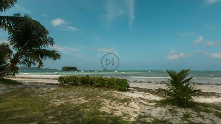 热带旅游海滩[4K免费商用]