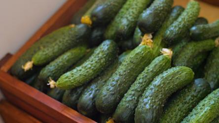 农贸市场里的黄瓜[]