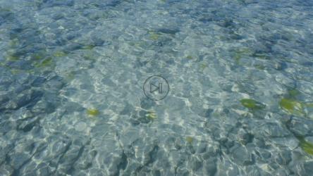 清澈的海水在天堂般的海滩上流动[免费商用]