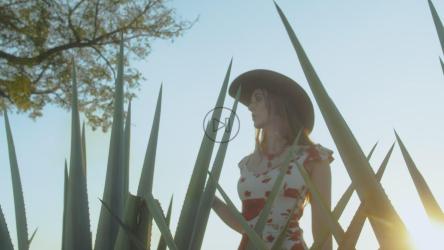 阳光明媚的麦田里的一个女孩的肖像[免费商用]