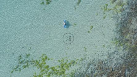 海岸附近一对夫妇在船上划桨的鸟瞰图[免费商用]