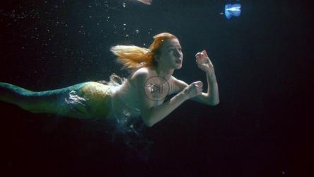 美人鱼在垃圾海洋中游泳[]