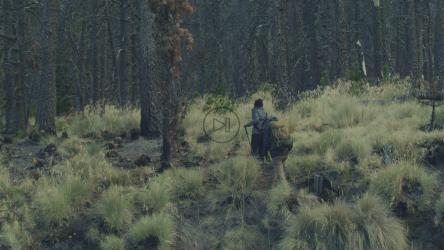 穿过森林的年轻人[4K免费商用]