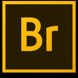 文件浏览软件Adobe Bridge13.0.4
