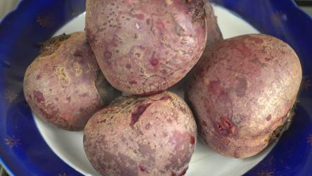 盘子里的熟甜菜根[]