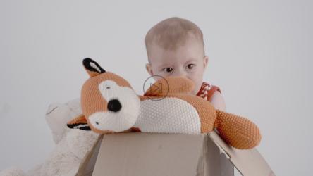 泰迪熊宝宝的肖像[免费商用]