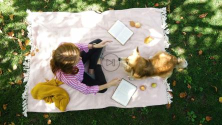 与狗野餐的鸟瞰图[4K]