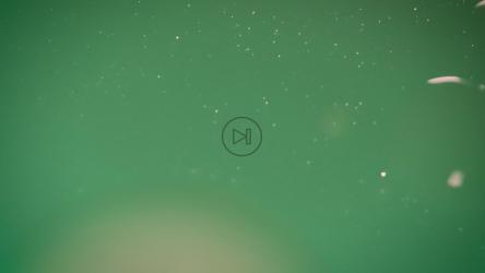 带有闪亮气泡的绿色物质特写[免费商用]