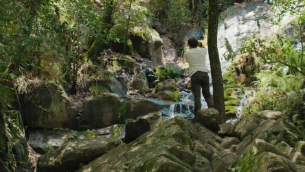 丛林中的一个年轻人站在瀑布边的岩石上拍照[免费商用]