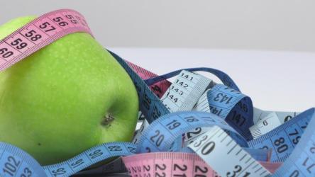 关于减肥和饮食概念的视频[]