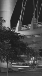 夜晚汽车众多的城市道路[免费商用竖屏]