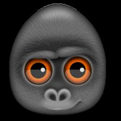 网络流量分析器Debookee8.1.3