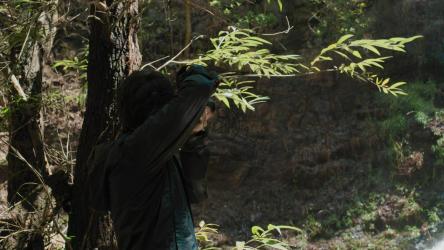 一个戴眼镜的年轻人在瀑布上拍照[免费商用]