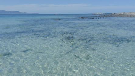 在清澈的海滩上缓慢低飞[免费商用]