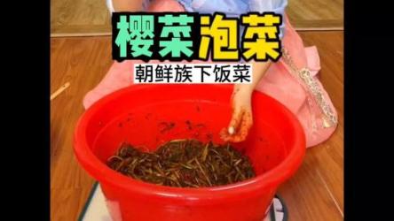【美食】泡菜技术·教学视频