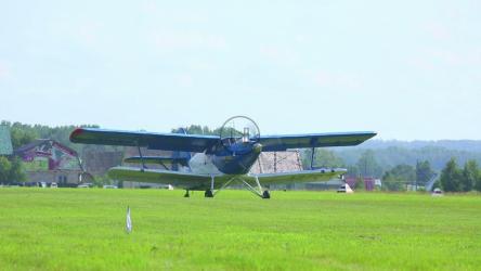 双车道穿越草地[]