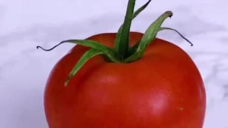 每日荐书11月12日