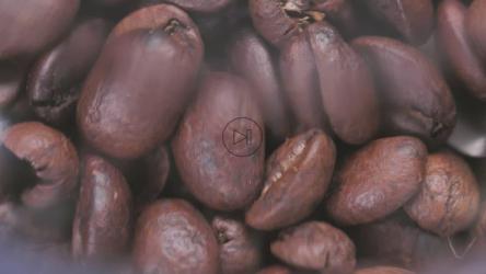 研磨机中的烤咖啡豆[免费商用]