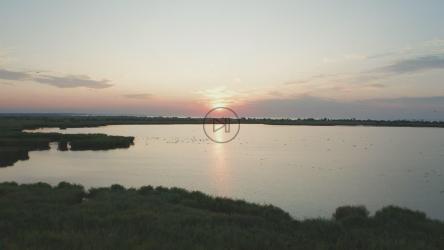 日落时无人机飞越湿地[4K]