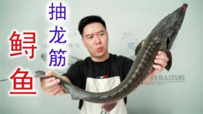 龙筋是什么？鲟鱼进化了2亿年的脊髓，却成人们享用的顶级美食？