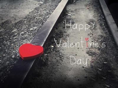 【唯美】暖心文案动物（关于动物的温柔文案）