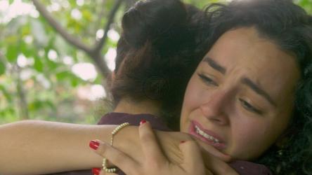 情侣间的情感拥抱[免费商用]