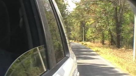 后视镜视野中的自然公路旅行[免费商用]