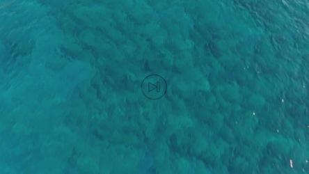 以意大利别墅为终点的地中海立交桥[4K]