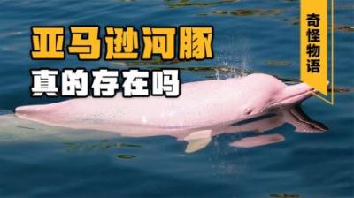 食人鱼如此凶狠，为何没能成为亚马逊河的霸主？难道它还有天敌？