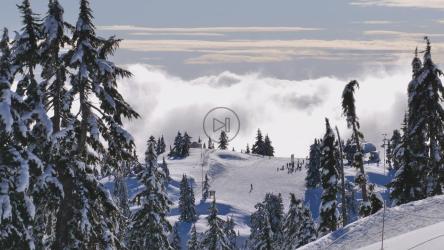 山顶边景[免费商用]