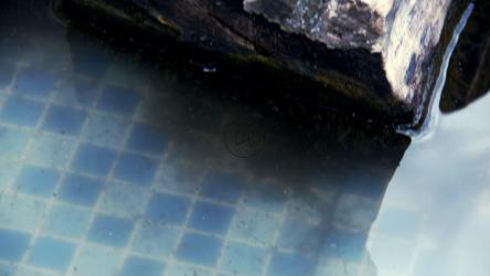 鱼缸里原木上的海龟[4K]