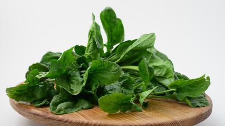 烹饪用植物介绍[]