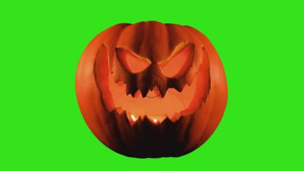 彩绿背景的万圣节南瓜[免费商用]