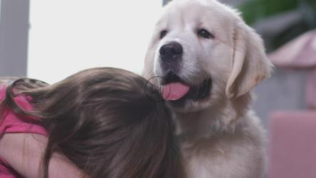 小女孩可爱地拥抱她的狗[4K]