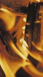 燃烧木材[免费商用竖屏]