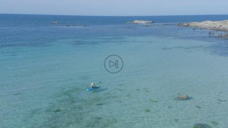 两个人在海滩上划船[免费商用]