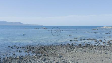 从海岸俯瞰平静的大海[免费商用]