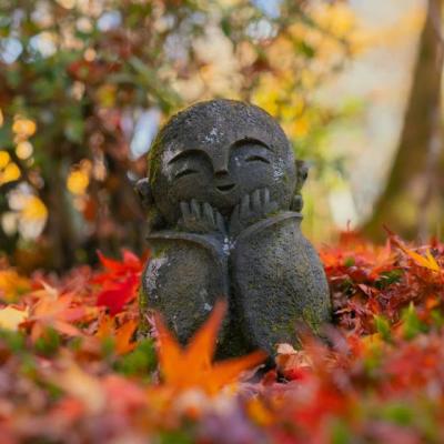 【经典】2023年新年祝福语6句（2023新年姓氏头像图片）