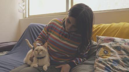A woman sits on a couch and pets a cat[4K免费商用]