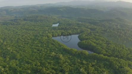 树木覆盖的自然环境的航拍[免费商用]