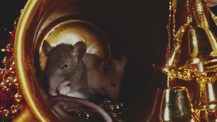 圣诞装饰中的老鼠[4K]