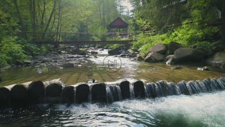 树林中小屋区域的河流[4K]